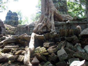 Ангкор. Храм Та пром