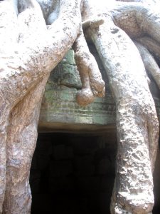 Ангкор. Храм Та пром